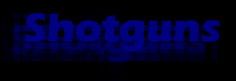 Shotguns